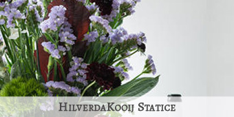 Hilverda Kooij Statice